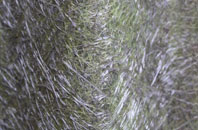 Monifieth fibreglass roof work